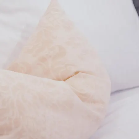 Tullius Rebmeisterei Отель типа 