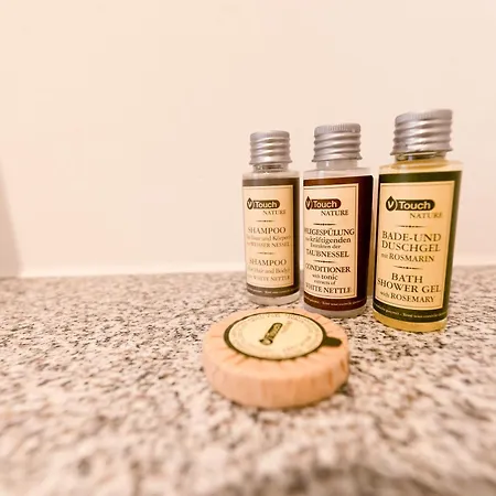 Tullius Rebmeisterei 3* Бад-Зобернхайм