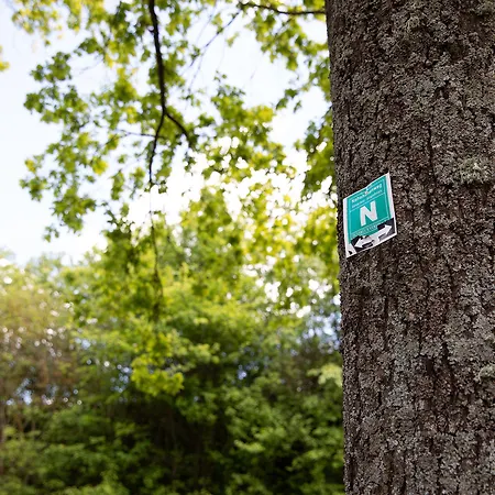 Frühstückspension Tullius Rebmeisterei