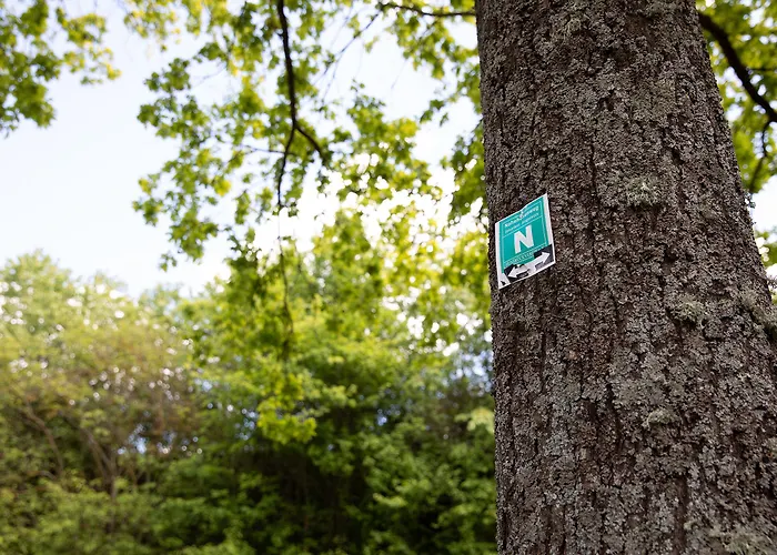 Bed and breakfast Tullius Rebmeisterei